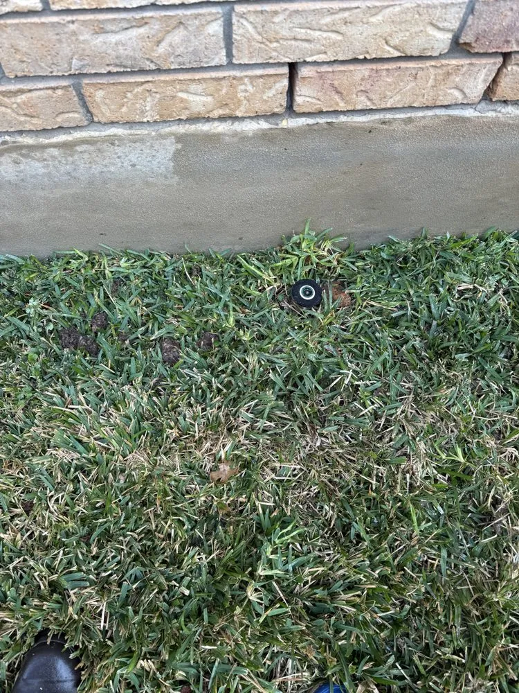 Affordable landscape installation experts serving New Braunfels, TX - UpHill