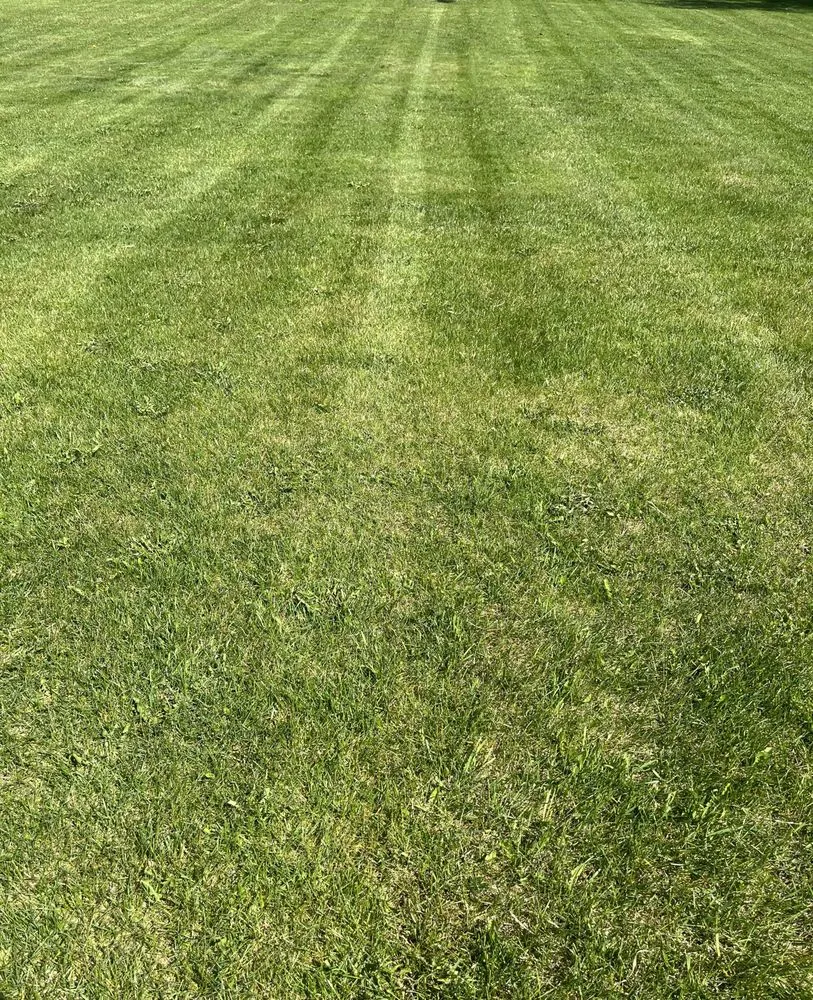 Reliable landscape design experts serving Madison, WI - Uphoff Property Care