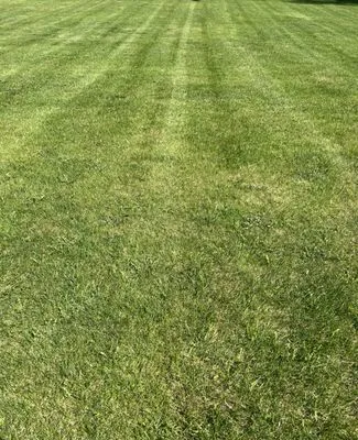 Uphoff Property Care Logo