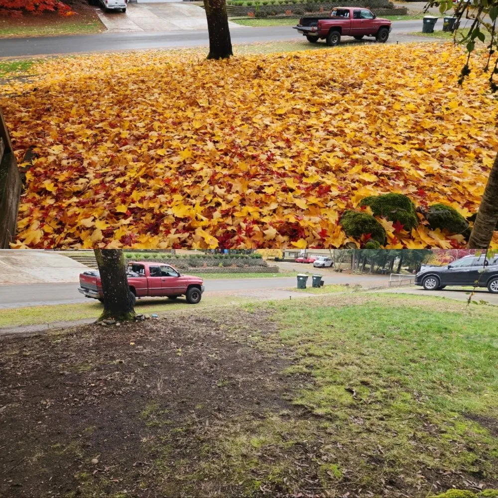 Reliable landscape installation for homes in Tenino, WA by Upkeep Home Services