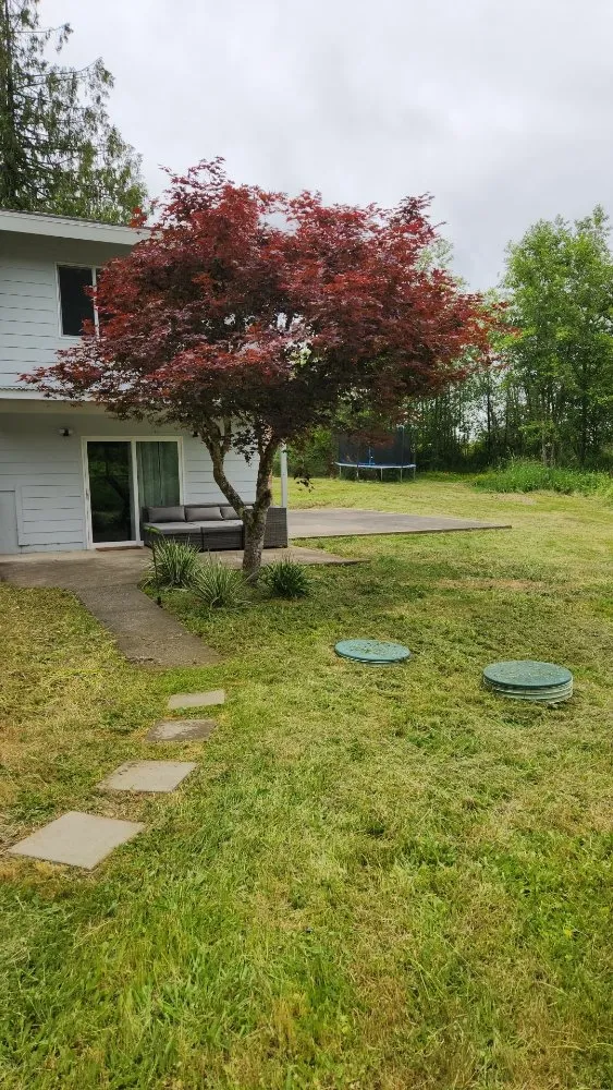 Trusted landscape installation for outdoor upgrades in Tenino, WA by Upkeep Home Services