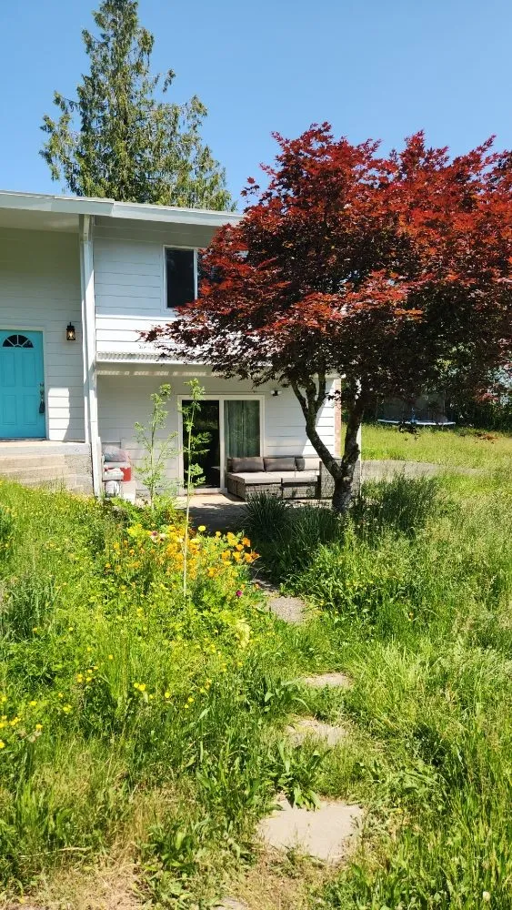 Reliable lawn care service for year-round maintenance in Tenino, WA by Upkeep Home Services