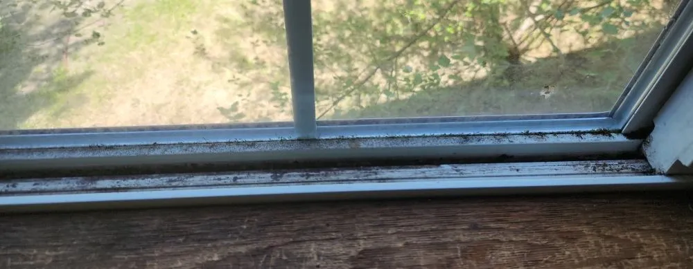 Professional landscape installation in Tenino, WA - Upkeep Home Services