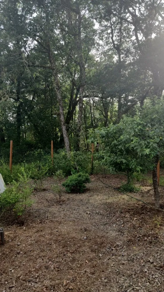 Top-rated garden landscaping for outdoor upgrades in Tenino, WA by Upkeep Home Services