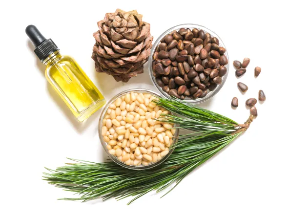 Affordable residential landscaping for residential properties across Coeur d'Alene, ID - Upkeepistry