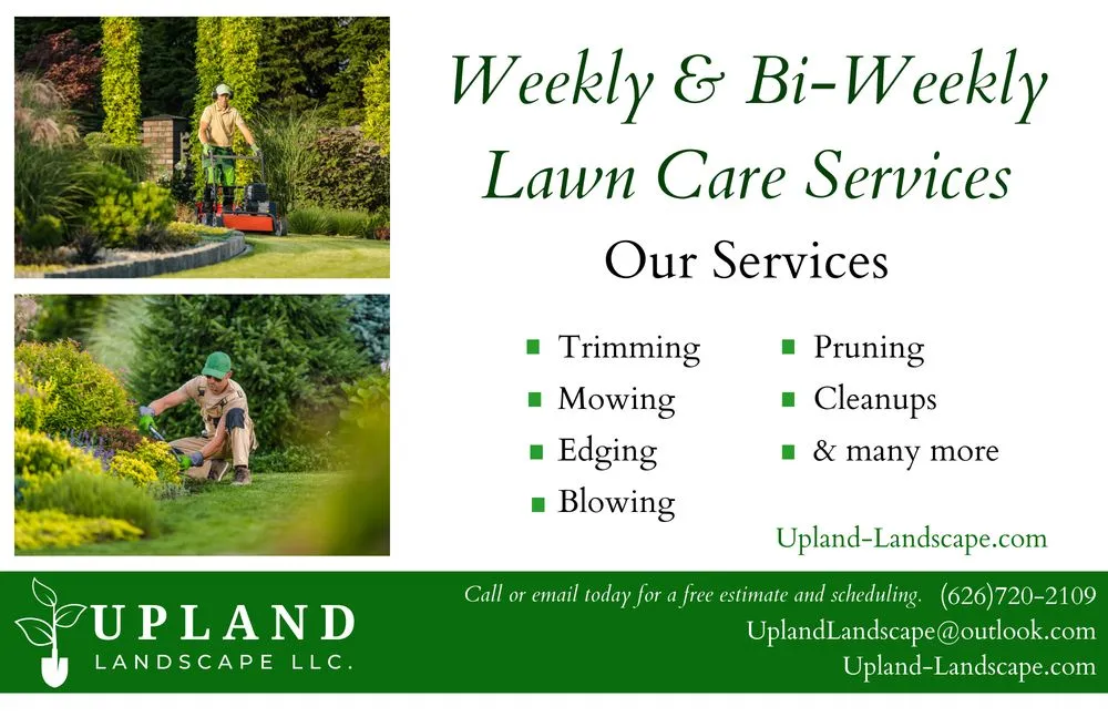 Affordable landscaping services with custom design across Upland, CA - Upland Landscape