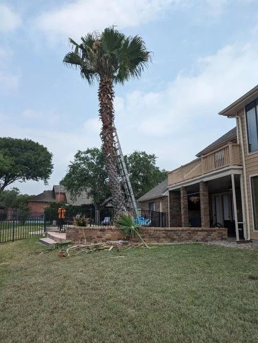 Affordable outdoor landscaping experts serving Corpus Christi, TX - Uplift Lawn & Landscape