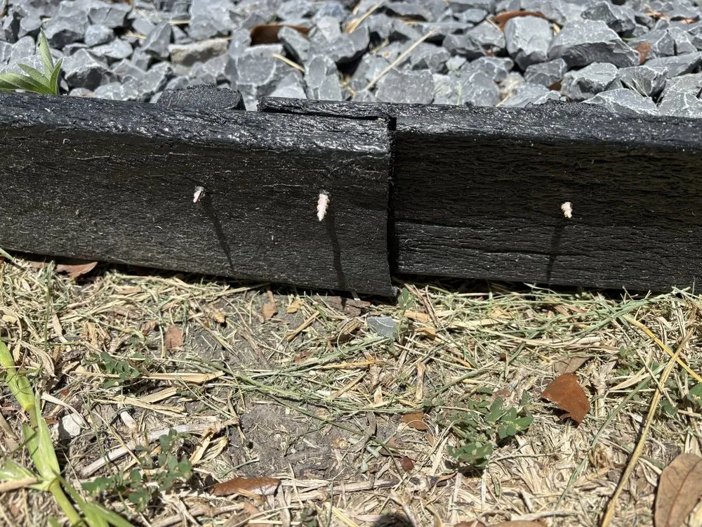 Professional garden landscaping for outdoor upgrades across Corpus Christi, TX - Uplift Lawn & Landscape