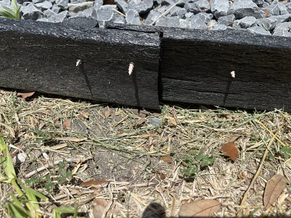 Local yard maintenance in Corpus Christi, TX by Uplift Lawn & Landscape