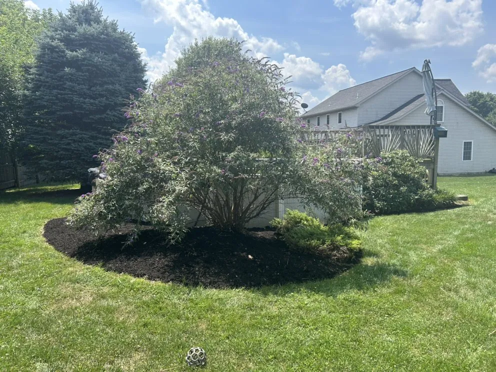 Affordable garden landscaping for year-round maintenance in Narvon, PA by Uplift Unlimited