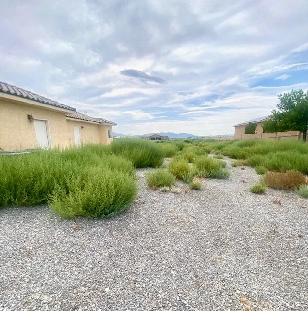 Expert landscape design experts serving Pahrump, NV - Uplifting Landscape N Lawncare