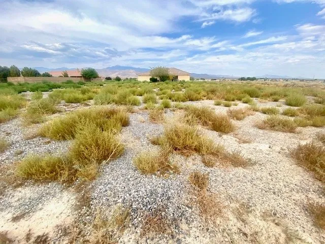 Professional landscape design in Pahrump, NV by Uplifting Landscape N Lawncare