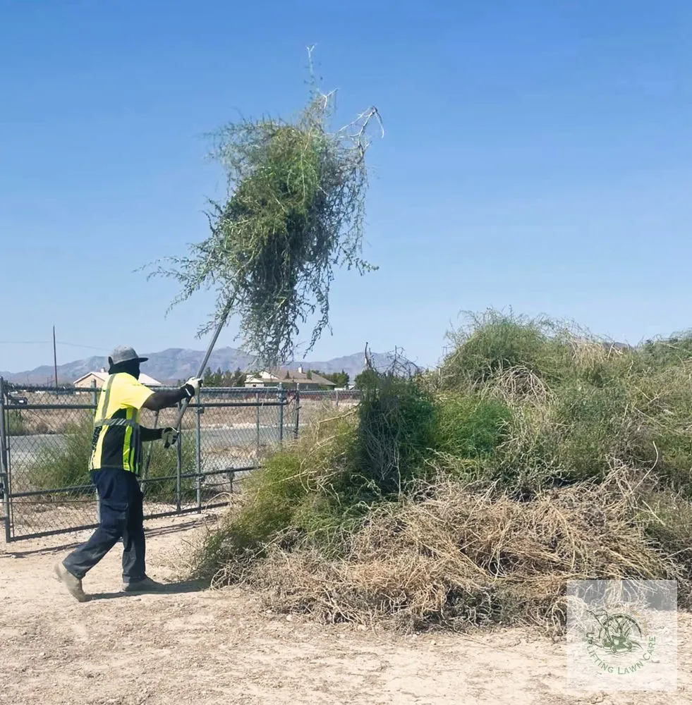 Trusted lawn care service in Pahrump, NV by Uplifting Landscape N Lawncare