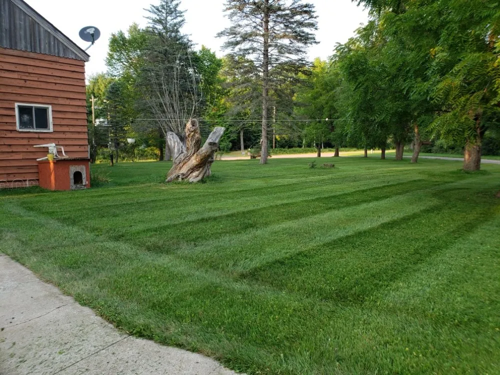Top-rated yard cleanup service in Seeley, WI - UpNorth Lawn & Landscape
