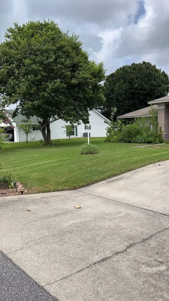 Professional yard cleanup service in Auburndale, FL by Upper Cut Landscaping