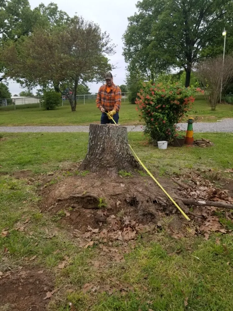 Trusted garden landscaping for beautiful yards across Hulbert, OK - Upper Cuts Tree Services and Stump Grinding