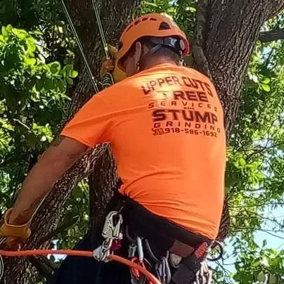 Professional landscape design experts serving Hulbert, OK - Upper Cuts Tree Services and Stump Grinding