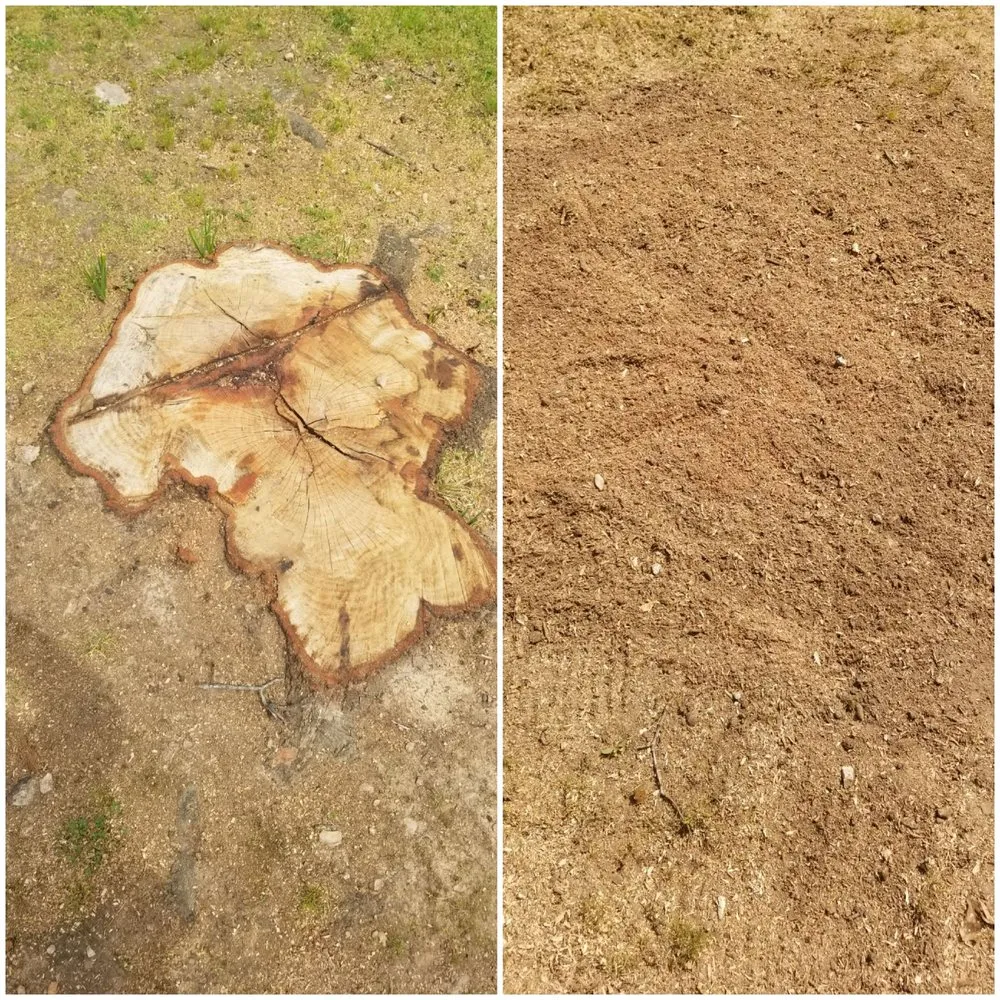 Expert landscaping services in Hulbert, OK by Upper Cuts Tree Services and Stump Grinding