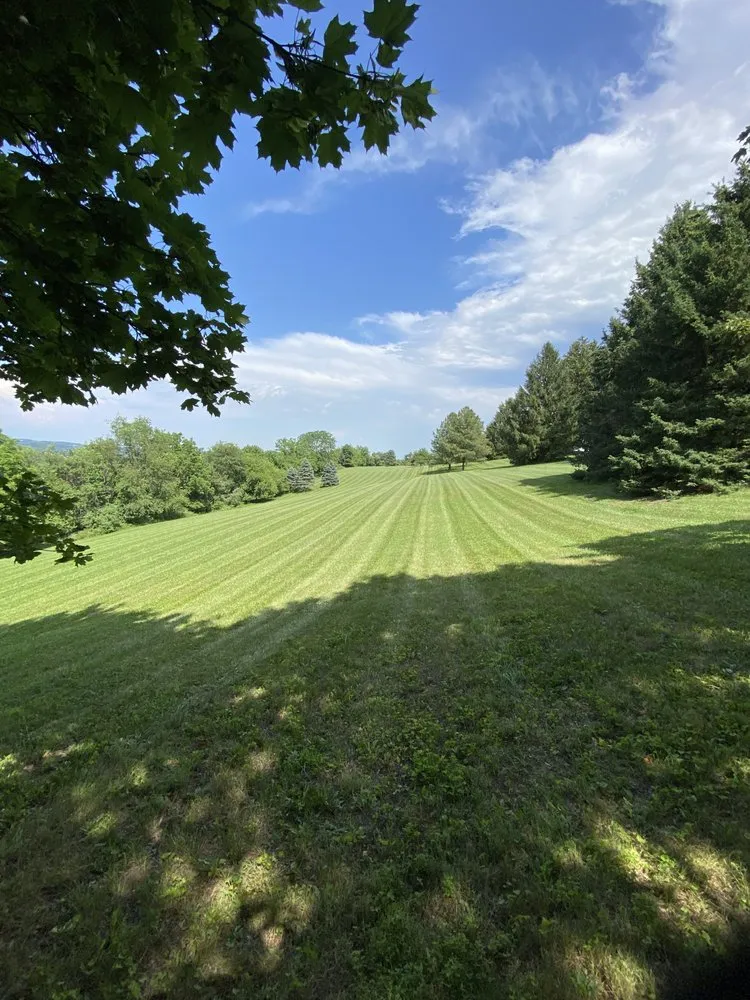 Reliable lawn care service for beautiful yards in Drums, PA by Upper Cutters