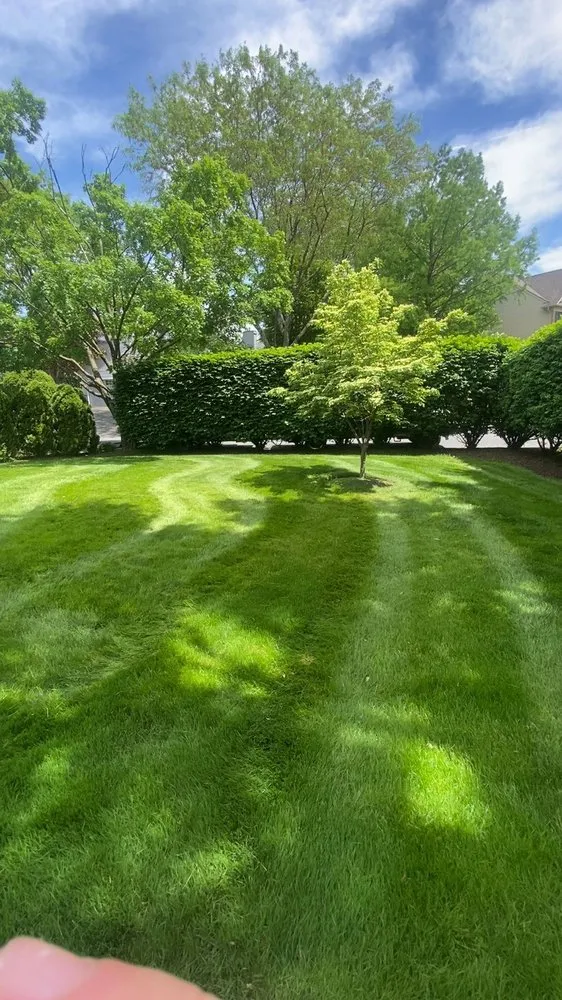 Professional yard maintenance in Drums, PA - Upper Cutters