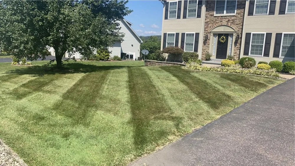 Reliable yard maintenance experts serving Drums, PA - Upper Cutters