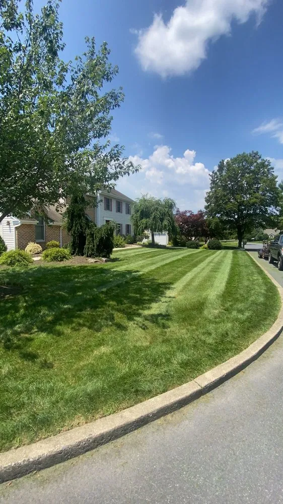 Professional landscape installation in Drums, PA - Upper Cutters