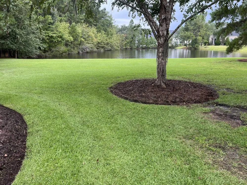Local yard cleanup service in Savannah, GA by Upper Cutz Landscape
