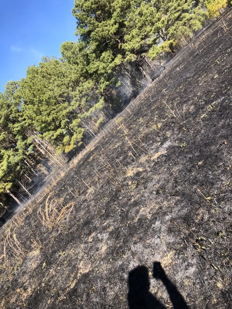 Reliable residential landscaping in West Monroe, LA - Upper Level Lawn Care