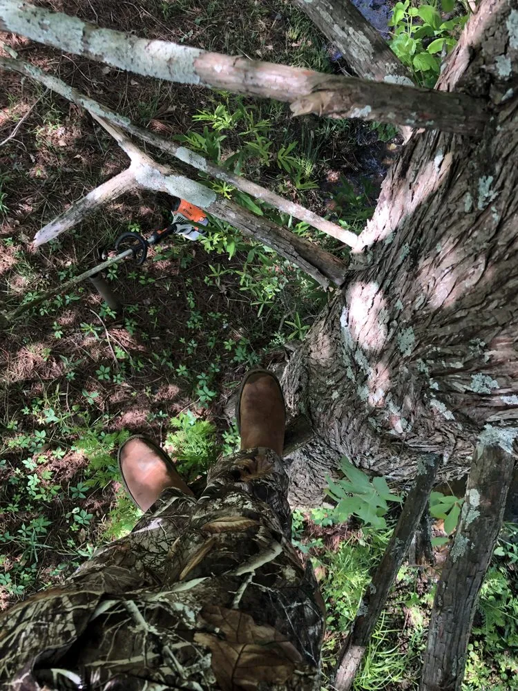 Expert yard maintenance for year-round maintenance across West Monroe, LA - Upper Level Lawn Care