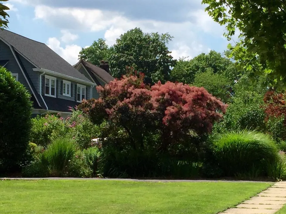 Trusted landscape design in Montclair, NJ - Upper Mountain Lawn Service