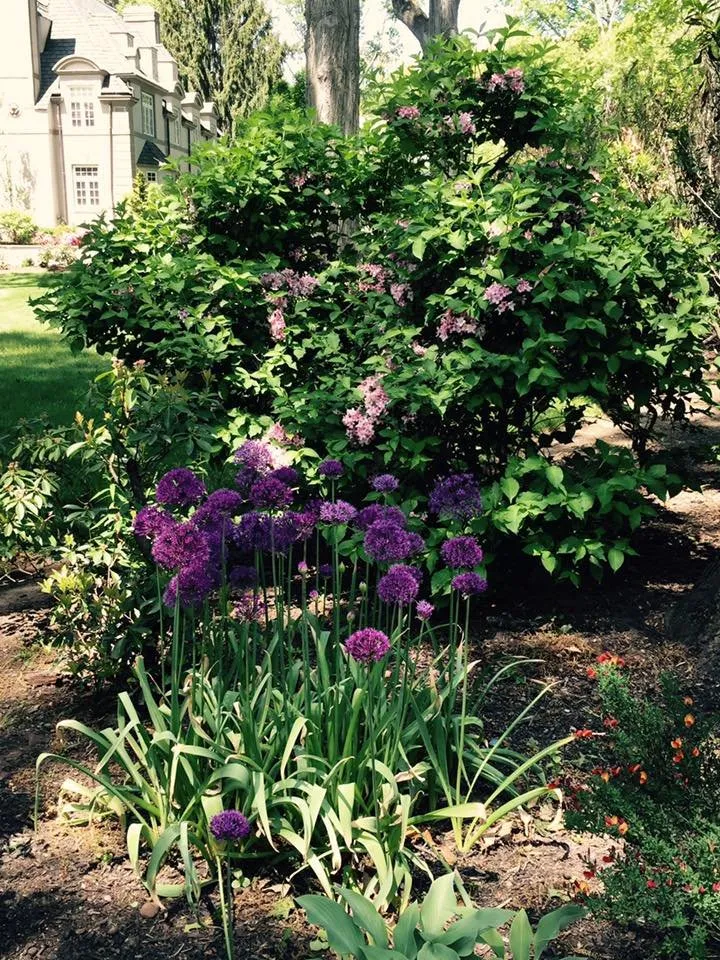 Reliable landscape design in Montclair, NJ by Upper Mountain Lawn Service