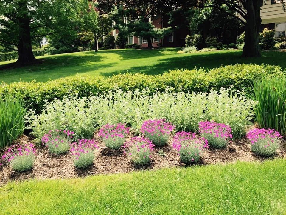 Trusted yard cleanup service in Montclair, NJ - Upper Mountain Lawn Service