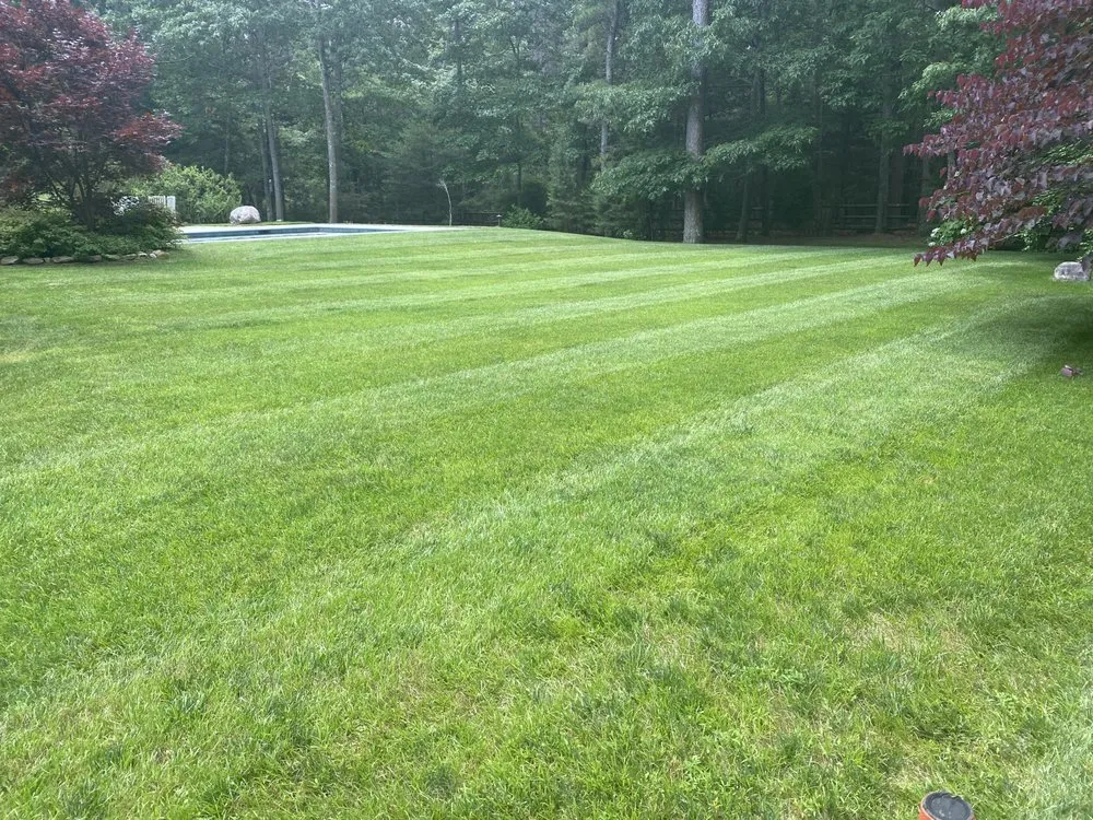 Professional garden landscaping experts serving Little Egg Harbor Township, NJ - Upper River Property Services
