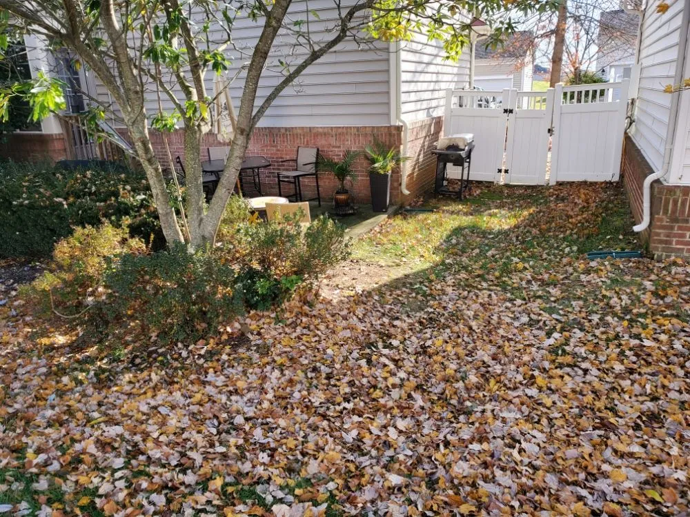 Professional outdoor landscaping for homes in Richmond, VA by Uppercut Lawn Care