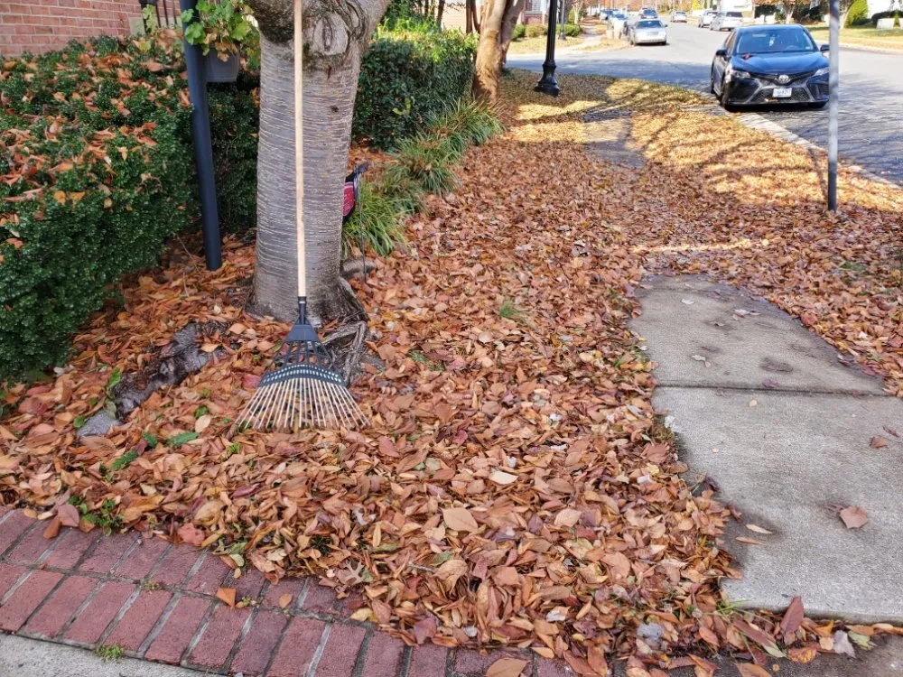 Affordable landscape design for year-round maintenance in Richmond, VA by Uppercut Lawn Care