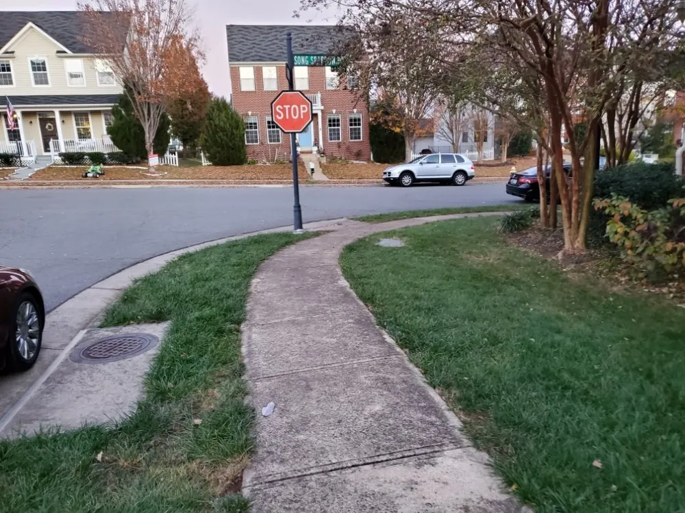 Expert landscape installation for residential properties in Richmond, VA by Uppercut Lawn Care