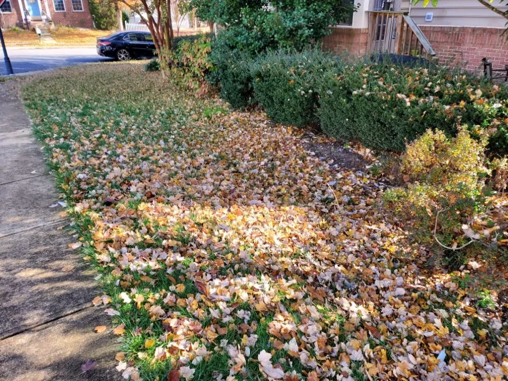 Affordable residential landscaping in Richmond, VA by Uppercut Lawn Care