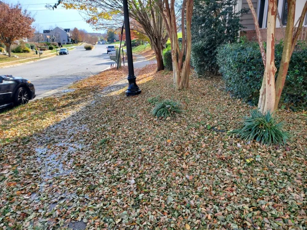 Trusted landscape installation for beautiful yards in Richmond, VA by Uppercut Lawn Care