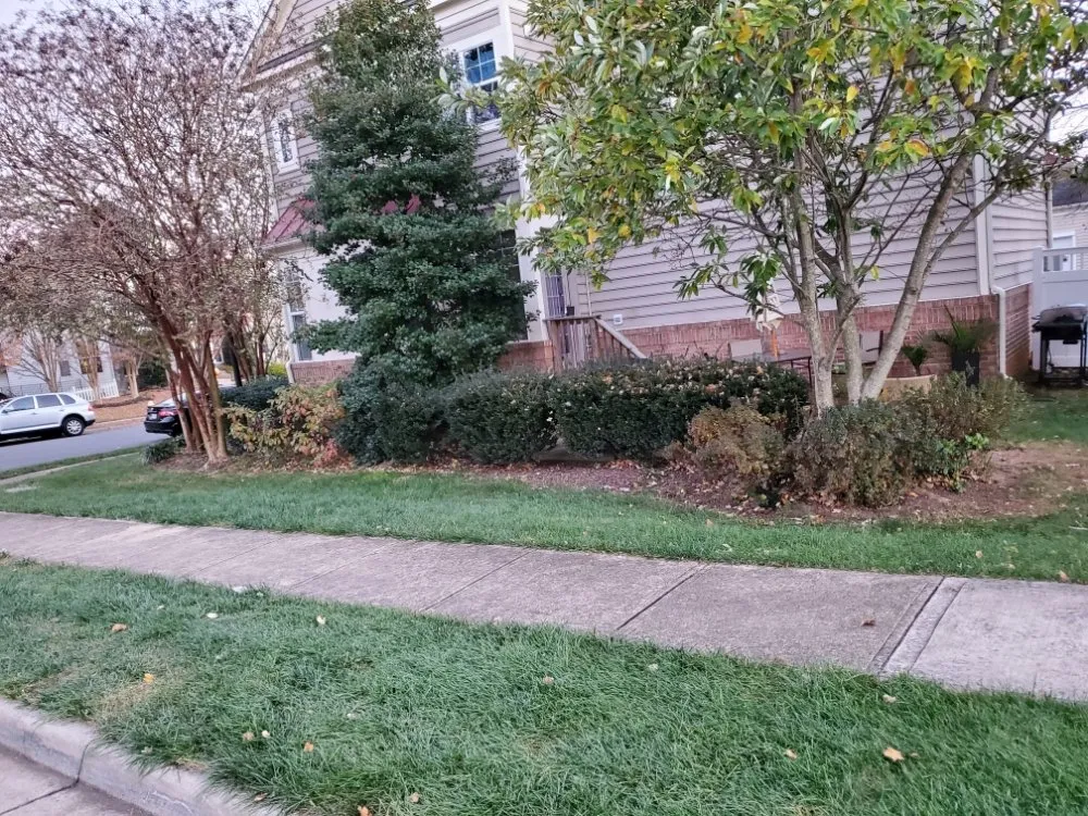 Professional outdoor landscaping near you in Richmond, VA by Uppercut Lawn Care