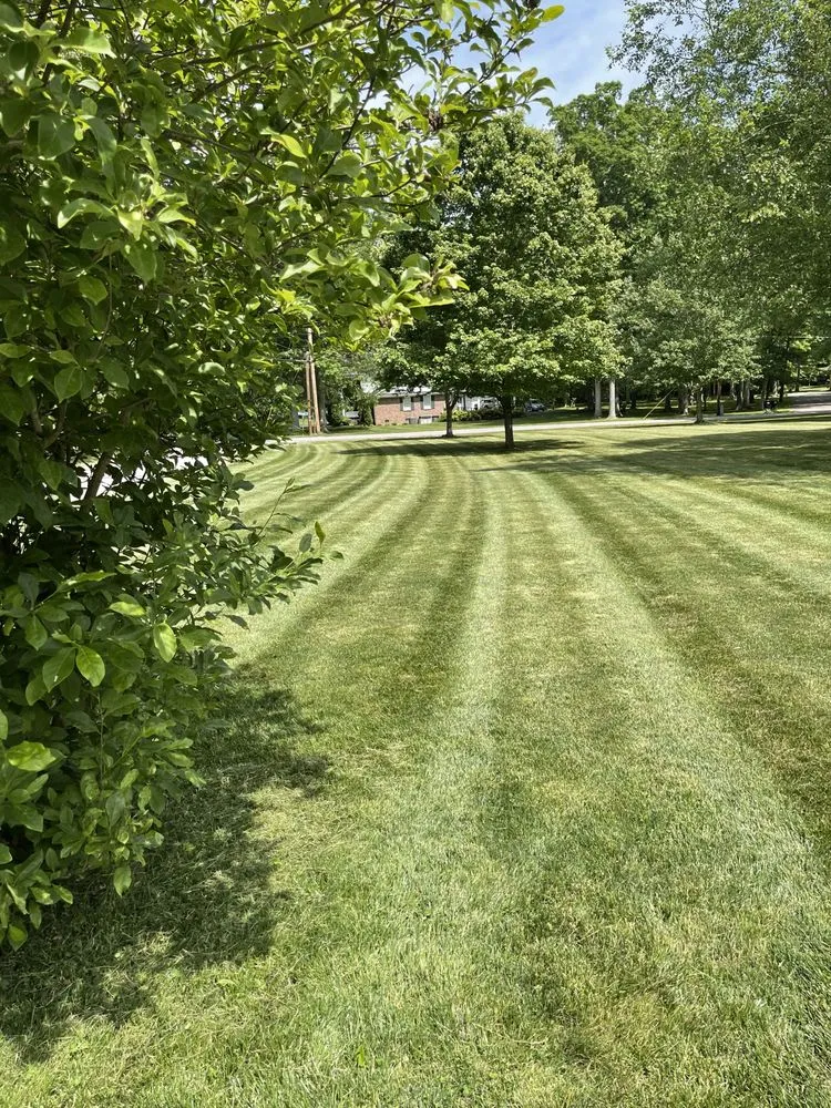 Local outdoor landscaping near you across Morrison, TN - Uppercuts Landscaping