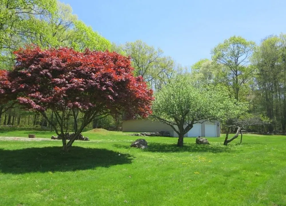 Local lawn mowing service in Vine Grove, KY - UpperCuts Lawn Care