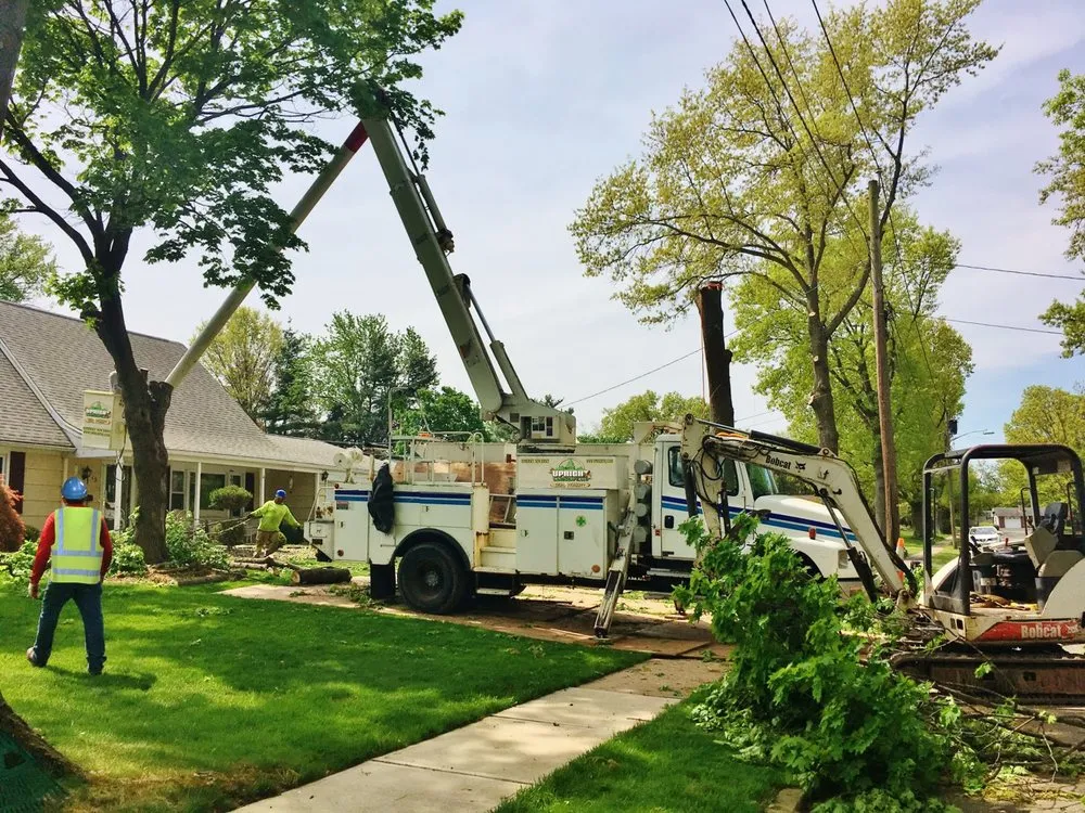 Local garden landscaping experts serving Somerset, NJ - Upright Land & Tree