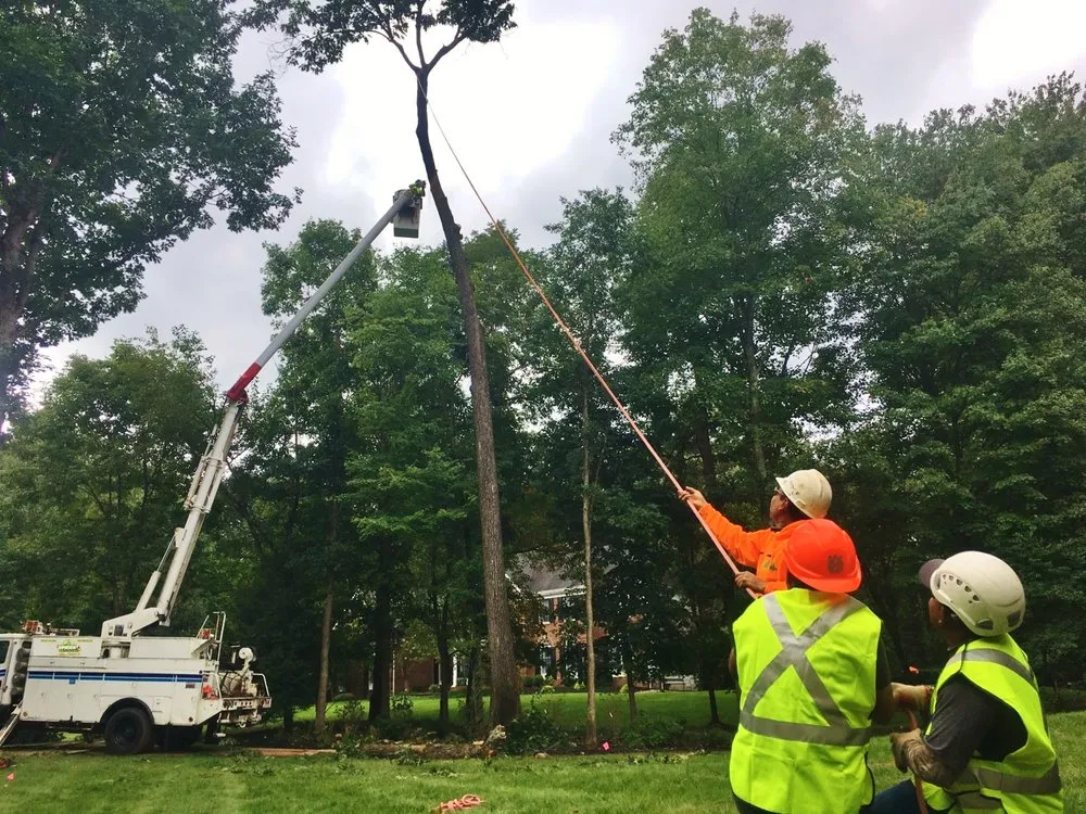 Local landscape installation for outdoor upgrades in Somerset, NJ by Upright Land & Tree