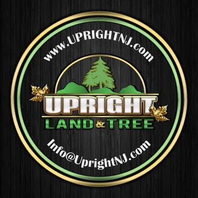 Upright Land & Tree Logo