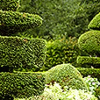 Top-rated landscape installation experts serving Canyon Lake, TX - Upright Landscape And Tree Care