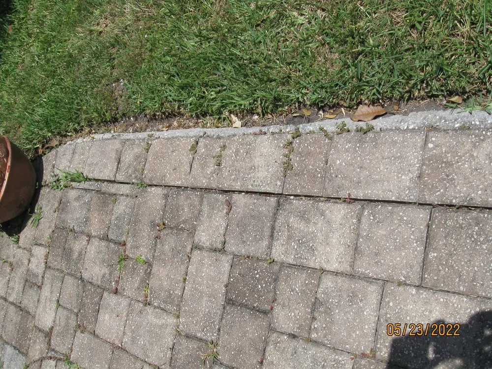 Expert lawn care service in Cocoa, FL by Uprooted Tree & Lawn Care