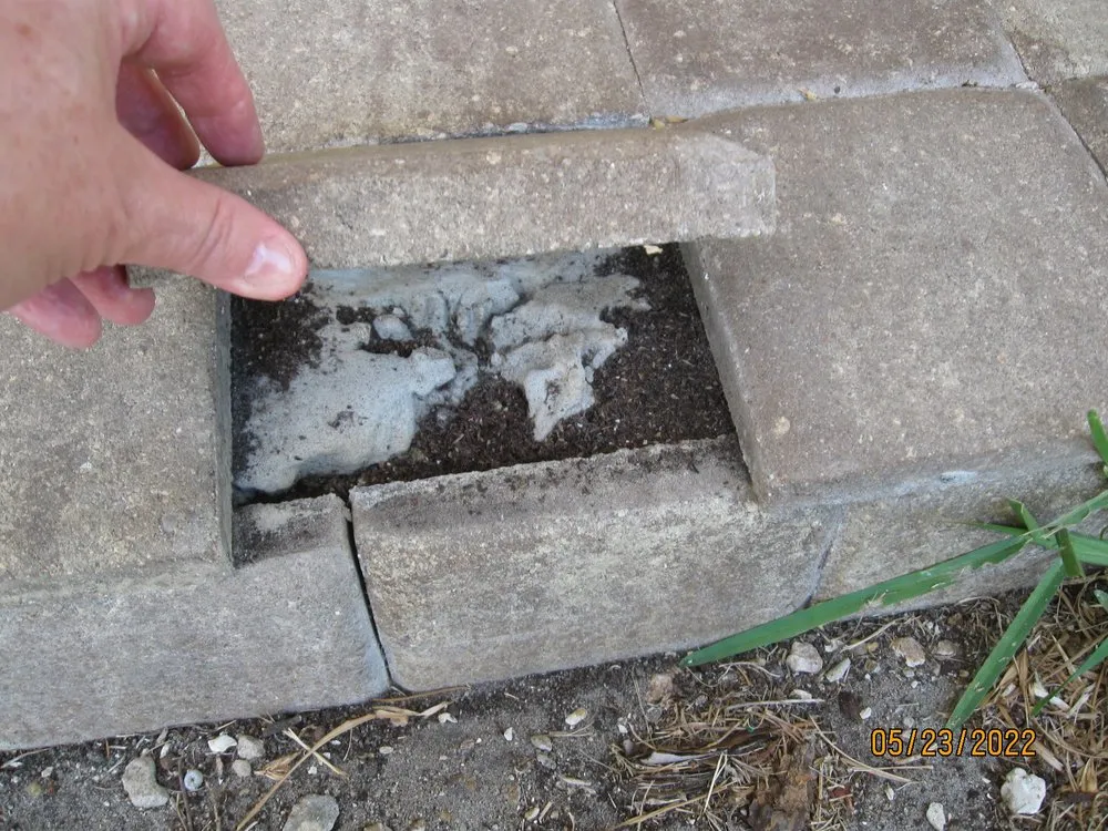 Local landscaping services in Cocoa, FL - Uprooted Tree & Lawn Care