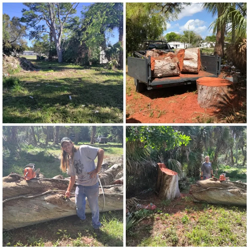 Trusted landscape design experts serving Cocoa, FL - Uprooted Tree & Lawn Care