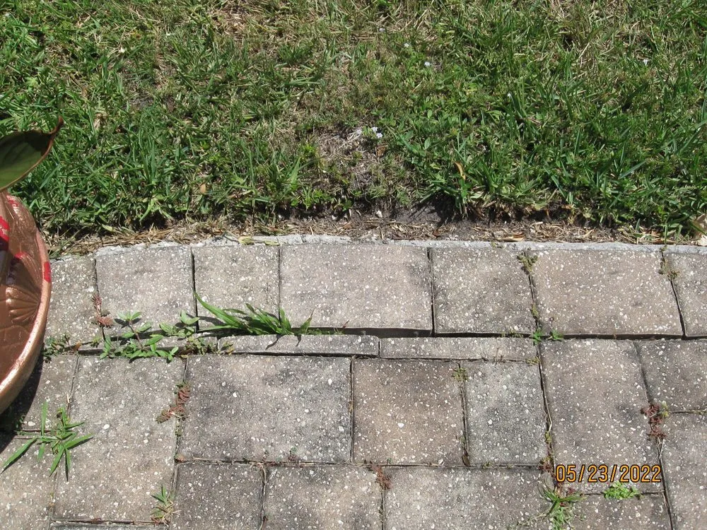 Custom landscaping services with custom design in Cocoa, FL by Uprooted Tree & Lawn Care