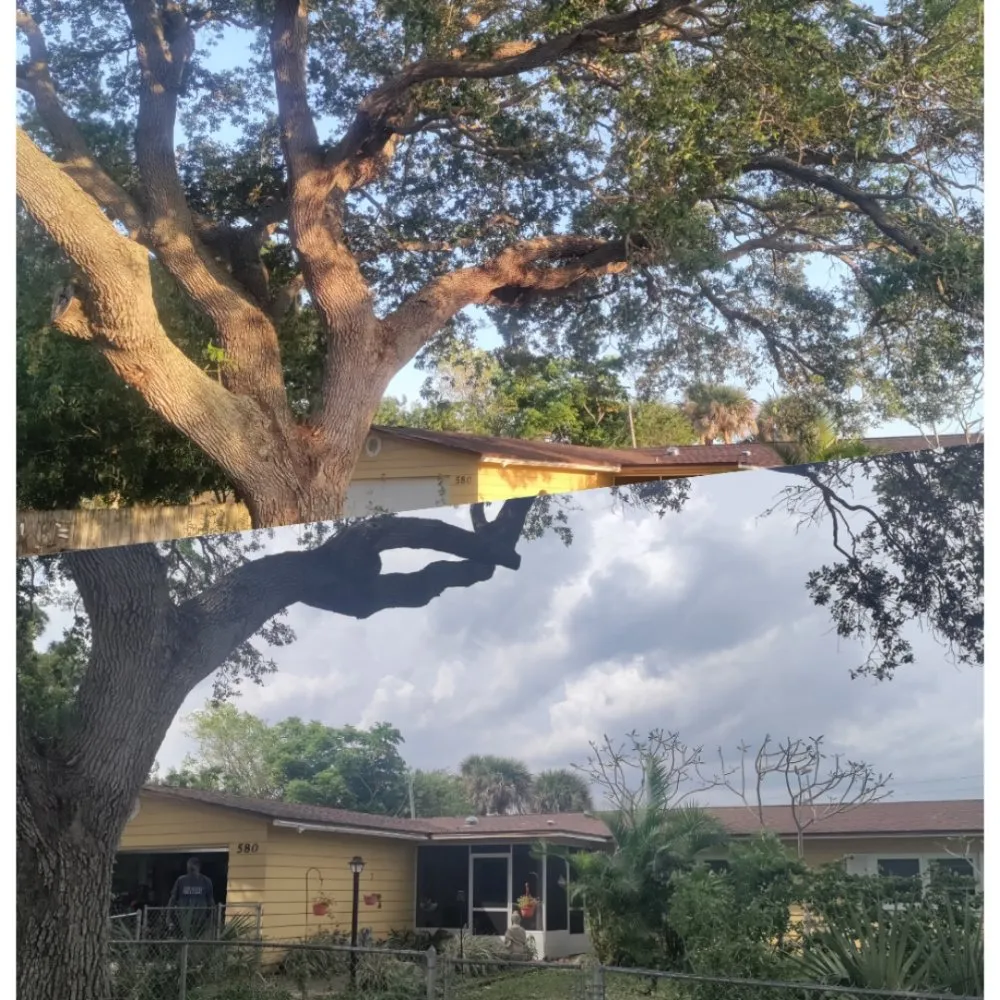 Custom landscaping services with custom design in Cocoa, FL by Uprooted Tree & Lawn Care